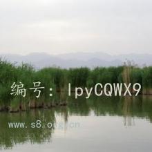 Ŀ