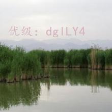 ǰ