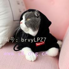 벻