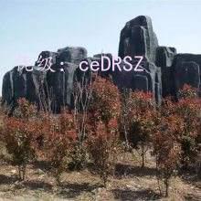 ǰ