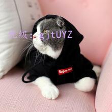 Ŀ